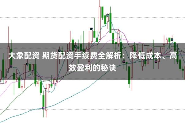 大象配资 期货配资手续费全解析：降低成本、高效盈利的秘诀