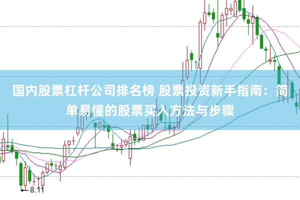国内股票杠杆公司排名榜 股票投资新手指南：简单易懂的股票买入方法与步骤