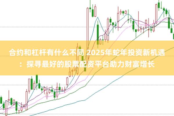 合约和杠杆有什么不同 2025年蛇年投资新机遇：探寻最好的股票配资平台助力财富增长