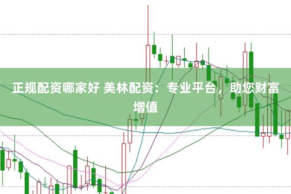 正规配资哪家好 美林配资：专业平台，助您财富增值