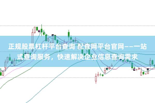 正规股票杠杆平台查询 配查网平台官网——一站式查询服务，快速解决企业信息查询需求