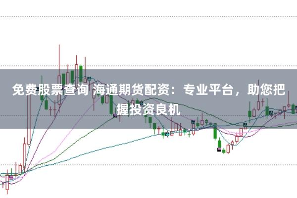 免费股票查询 海通期货配资：专业平台，助您把握投资良机