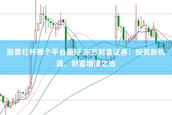 股票杠杆哪个平台最好 东方财富证券：投资新机遇，财富增值之选