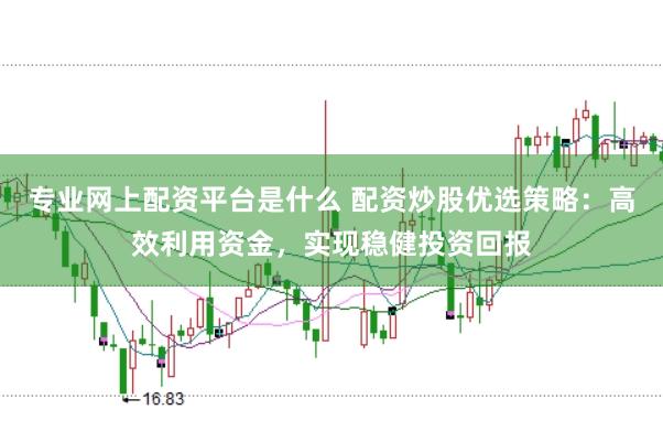 专业网上配资平台是什么 配资炒股优选策略：高效利用资金，实现稳健投资回报