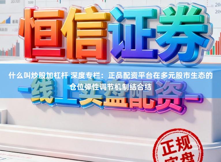 什么叫炒股加杠杆 深度专栏：正品配资平台在多元股市生态的仓位弹性调节机制结合结