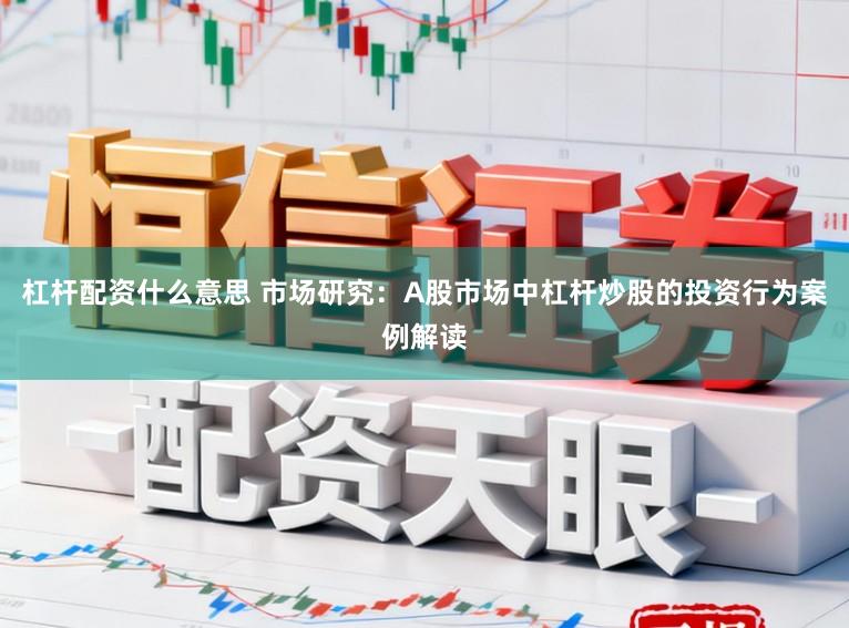 杠杆配资什么意思 市场研究：A股市场中杠杆炒股的投资行为案例解读